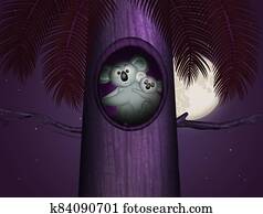 koala in the trunk of the plant in the moonlight koala in the trunk of the plant in the moonlight
