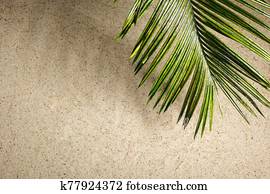Palms of the Palm Sunday on the sand background