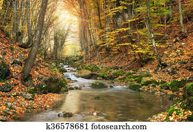 Autumn landscape. Autumn landscape.