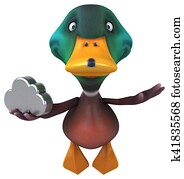 Duck Duck