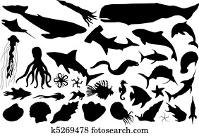 meereslebewesen, silhouetten meereslebewesen, silhouetten