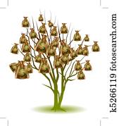 Money Bag Tree