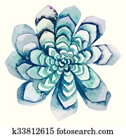 Watercolor green succulent Watercolor green succulent