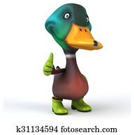 Fun duck Fun duck