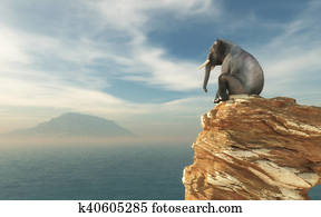 Elephant sitting on edge Elephant sitting on edge