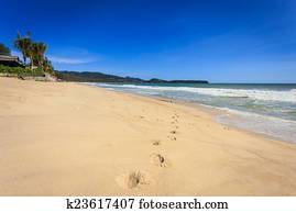 Tropical beach with clear sky