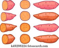 Download Sweet Potatoes Clip Art Vectors | Our Top 1000+ Sweet ...