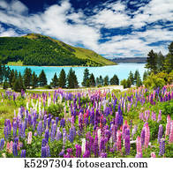 Lake Tekapo, New Zealand Lake Tekapo, New Zealand