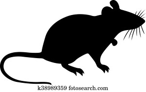 Mouse Mouse