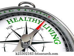 sunde leve, på, begreb, kompas