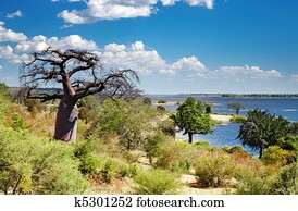 Chobe river in Botswana