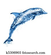 Jumping water dolphin Jumping water dolphin