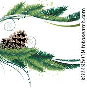 Pine branches and cones