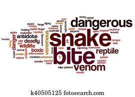 Snake bite word cloud Snake bite word cloud