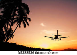 Airplane Airplane