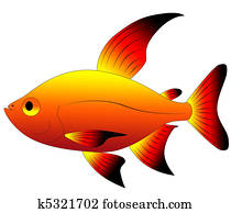 An image of a colorful fish Drawing | sca0573 | Fotosearch