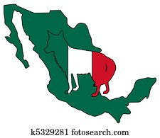 Coyote Mexico Coyote Mexico