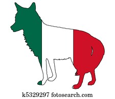 Coyote Mexico Coyote Mexico