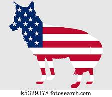 Coyote USA Coyote USA