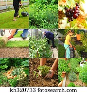 Gardening Gardening