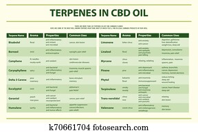 terpenes, ב, cbd, שמן, אופקי, infographic