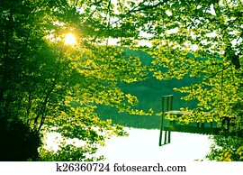 Lake Lake