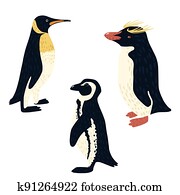 Set penguins isolated on white background. Different penguin: african, macaroni, emperor. Cute birds from arctic hand drawn style. Collection funny cartoon character.