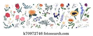 Collection of wild blooming meadow flowers isolated on white background. Bundle of wildflowers used in floristry. Set of decorative floral design elements. Flat colorful botanical vector illustration. Collection of wild blooming meadow flowers isolated on white background. Bundle of wildflowers used in floristry. Set of decorative floral design elements. Flat colorful botanical vector illustration.