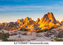 Mojave Wüste Bilder | 1000+ Mojave Wüste Stock Fotos | Fotosearch