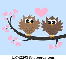 owl couple owl couple