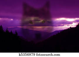 Call of the Wild Call of the Wild