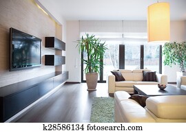 Drawing room Drawing room