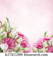 Lisianthus Stock Photo Images. 1,589 lisianthus royalty free images and ...