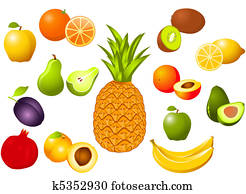 Fruits Fruits
