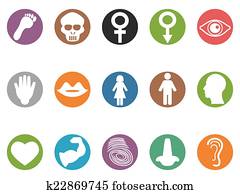 human feature round buttons icons