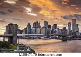 New York City New York City