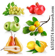 set fresh fruits with green leaves