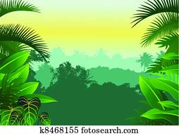 Tropical jungle Tropical jungle