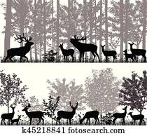 Herd of deer Herd of deer
