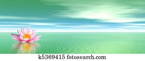 Lily flower in green ocean Lily flower in green ocean