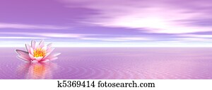 Lily flower in violet ocean Lily flower in violet ocean