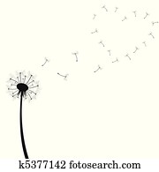 Dandelion Illustration Dandelion Illustration