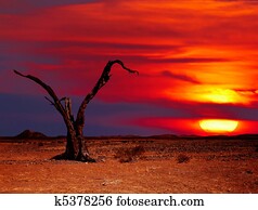 Desert fantasy Desert fantasy