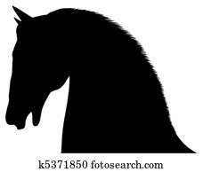 Horses head Horses head