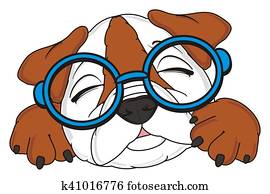 puppy of english bulldog puppy of english bulldog