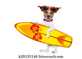 surfing dog selfie surfing dog selfie