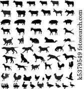 tiere, haustiere, silhouetten tiere, haustiere, silhouetten