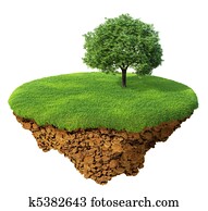 césped, con, un, árbol