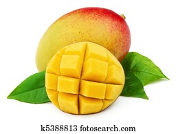 Mango Mango