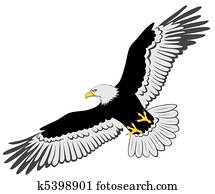 adler adler